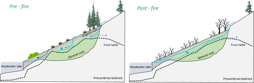 Details are in the caption following the image Details are in the caption following the image
