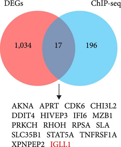 Details are in the caption following the image