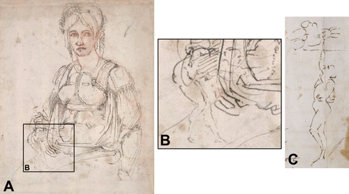 Details are in the caption following the image Details are in the caption following the image