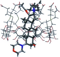 A Novel Concept of Reversing Neuromuscular Block: Chemical Encapsulation of Rocuronium Bromide by a Cyclodextrin-Based Synthetic Host