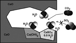 Impact of SO2 in the Presence of Steam on Carbonation and Sulfation of Calcium Sorbents