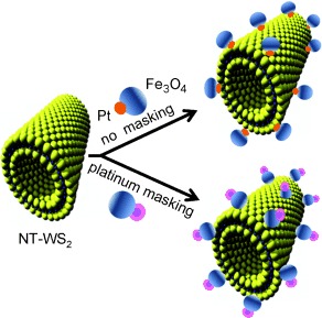 Molecular Camouflage: Making Use of Protecting Groups To Control the Self-Assembly of Inorganic Janus Particles onto Metal–Chalcogenide Nanotubes by Pearson Hardness