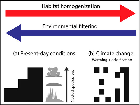 Future ocean climate homogenizes communities across habitats through diversity loss and rise of generalist species