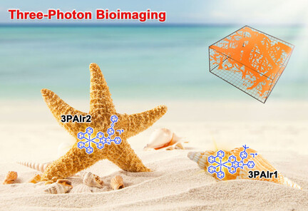 Rational Design of Cyclometalated Iridium(III) Complexes for Three-Photon Phosphorescence Bioimaging
