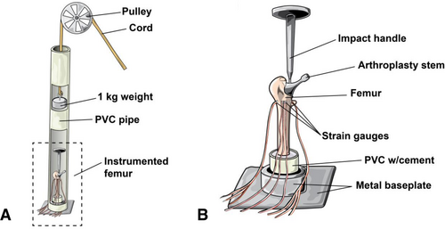 Details are in the caption following the image Details are in the caption following the image