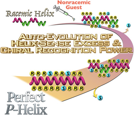 Racemic Monomer-Based One-Handed Helical Polymer Recognizes Enantiomers through Auto-Evolution of Its Helical Handedness Excess