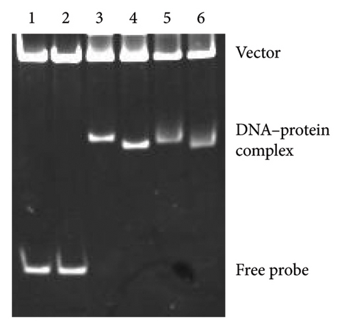 Details are in the caption following the image