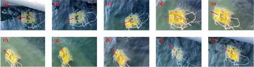 Details are in the caption following the image Details are in the caption following the image