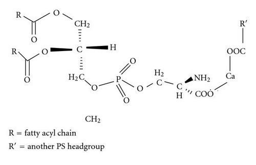 Details are in the caption following the image