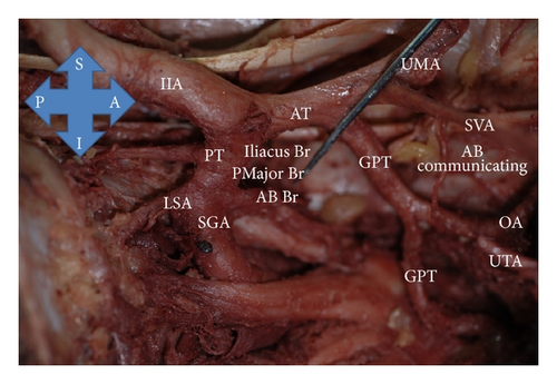 Details are in the caption following the image Details are in the caption following the image