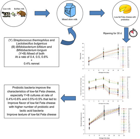 Enhancement of low-fat Feta cheese characteristics using probiotic bacteria