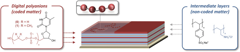 Sequences of Sequences: Spatial Organization of Coded Matter through Layer-by-Layer Assembly of Digital Polymers