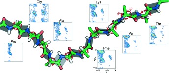Direct Prediction of NMR Residual Dipolar Couplings from the Primary Sequence of Unfolded Proteins