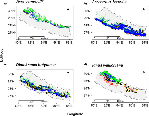 Climate change induced elevational range shifts of Himalayan tree species