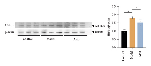 Details are in the caption following the image