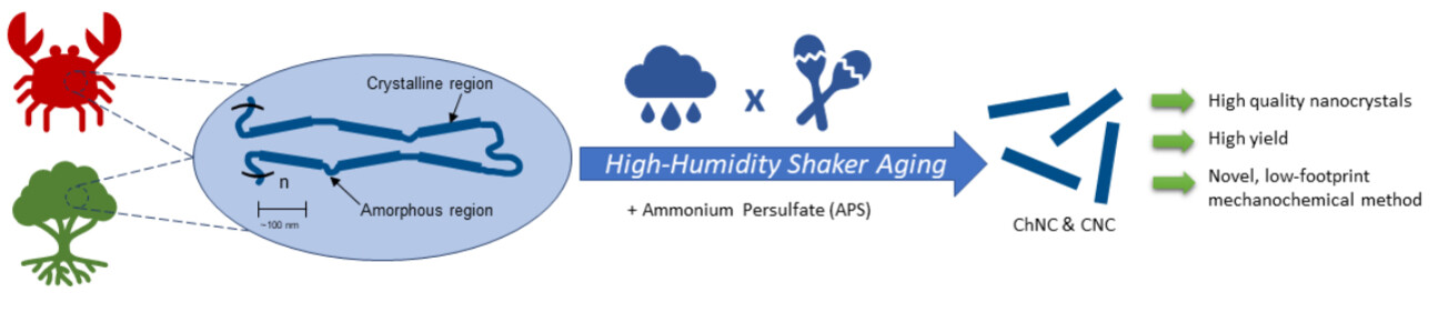 High-Humidity Shaker Aging to Access Chitin and Cellulose Nanocrystals**