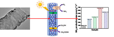 Activation of Fe species on graphitic carbon nitride nanotubes for efficient photocatalytic ammonia synthesis