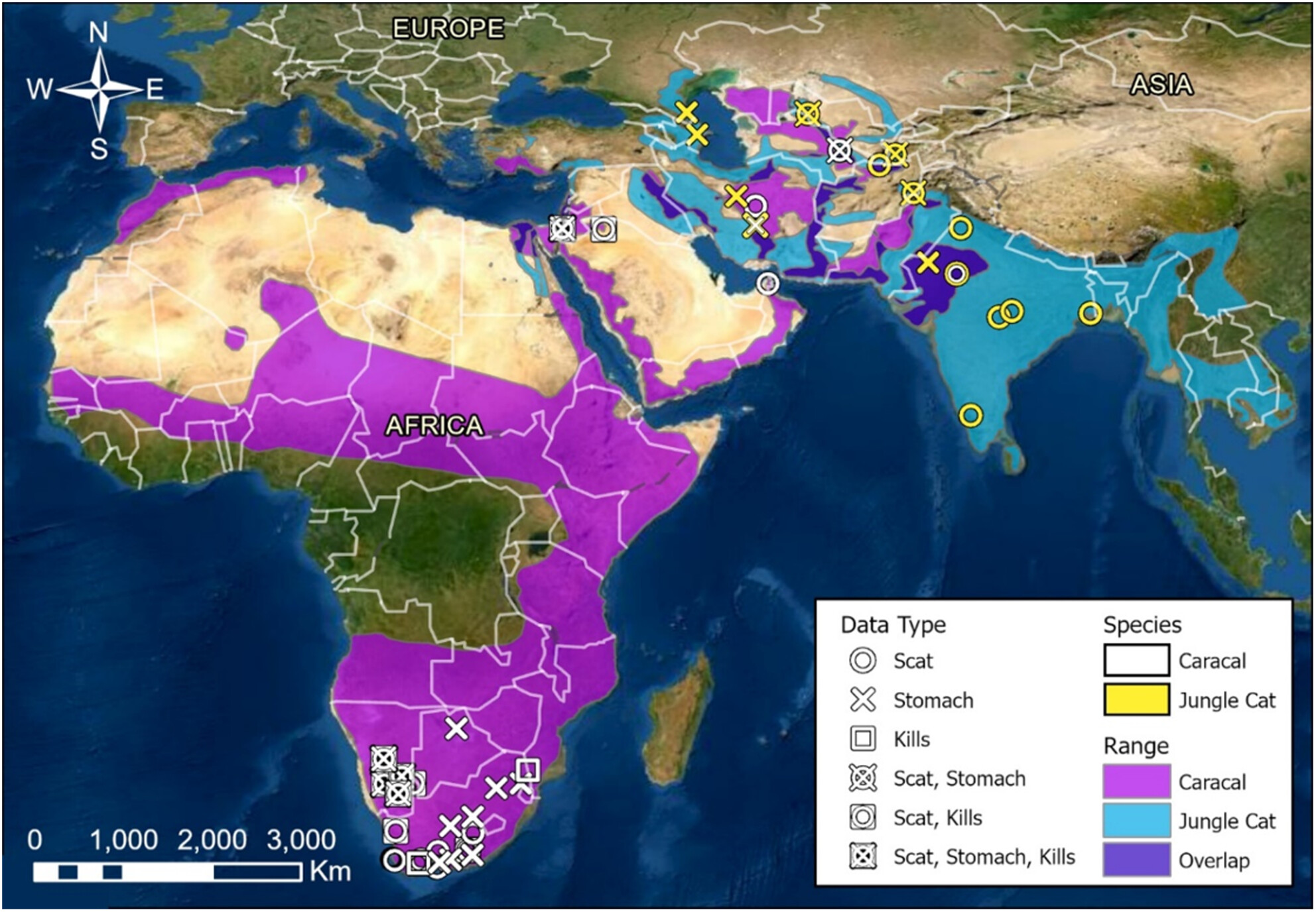 A review of caracal and jungle cat diets across their geographical ranges during 1842–2021