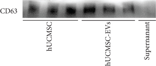 Details are in the caption following the image
