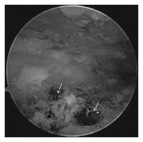Details are in the caption following the image Details are in the caption following the image