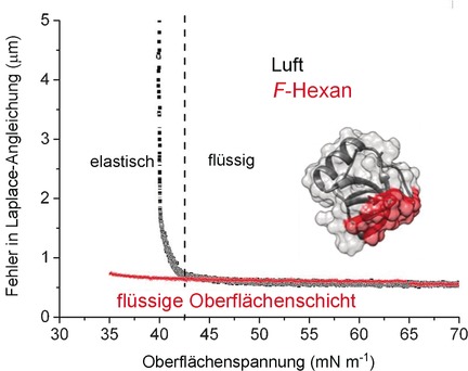 Design of Highly Stable Echogenic Microbubbles through Controlled Assembly of Their Hydrophobin Shell
