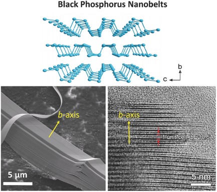 Growth of Black Phosphorus Nanobelts and Microbelts