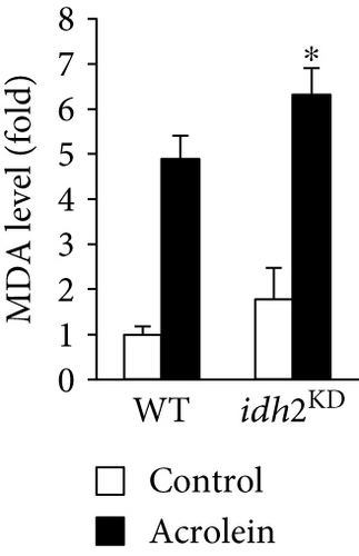 Details are in the caption following the image
