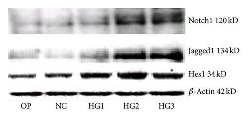 Details are in the caption following the image