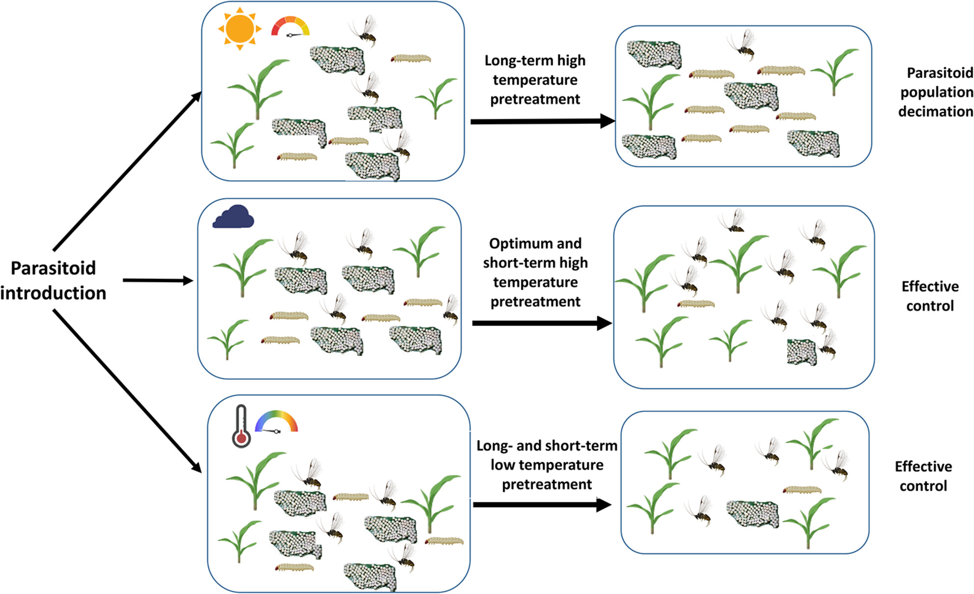 Thermal performance drifts between the egg parasitoid Telenomus remus and the fall armyworm may threaten the efficacy of biological control under climate change