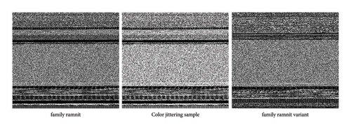 Details are in the caption following the image Details are in the caption following the image