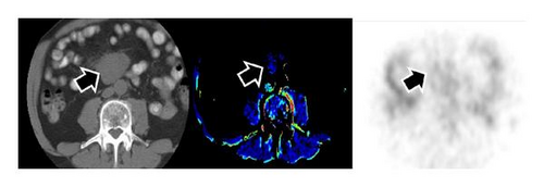 Details are in the caption following the image Details are in the caption following the image