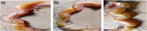 Details are in the caption following the image Details are in the caption following the image