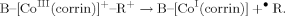 equation image equation image