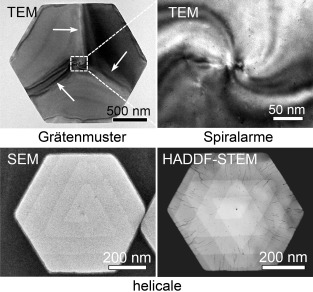 Screw-Dislocation-Driven Bidirectional Spiral Growth of Bi2Se3 Nanoplates