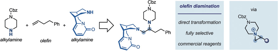 Photoinduced Olefin Diamination with Alkylamines