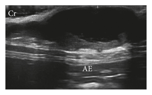 Details are in the caption following the image Details are in the caption following the image
