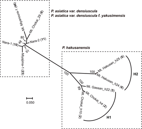 Details are in the caption following the image