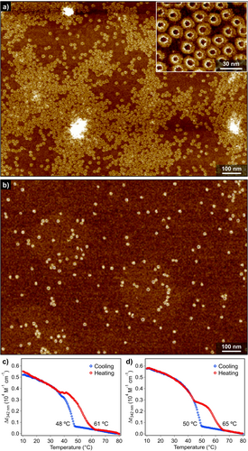 Details are in the caption following the image Details are in the caption following the image