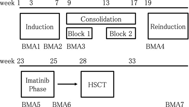 Imatinib use immediately before stem cell transplantation in children with Philadelphia chromosome-positive acute lymphoblastic leukemia: Results from Japanese Pediatric Leukemia/Lymphoma Study Group (JPLSG) Study Ph+ALL04