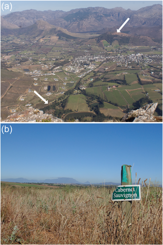 Details are in the caption following the image Details are in the caption following the image