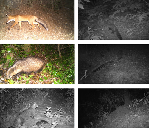 Details are in the caption following the image Details are in the caption following the image