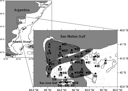Details are in the caption following the image Details are in the caption following the image