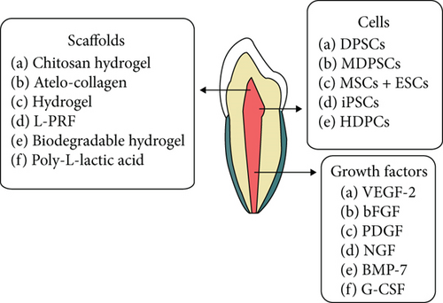 Details are in the caption following the image Details are in the caption following the image