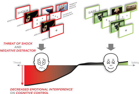 Threat-of-shock decreases emotional interference on affective stroop performance in healthy controls and anxiety patients