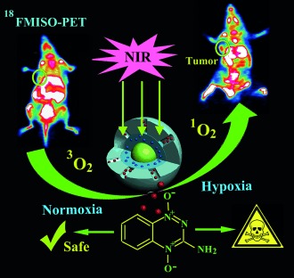 Hypoxia Induced by Upconversion-Based Photodynamic Therapy: Towards Highly Effective Synergistic Bioreductive Therapy in Tumors