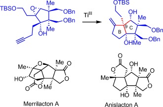 Synthesis of (±)-Merrilactone A and (±)-Anislactone A