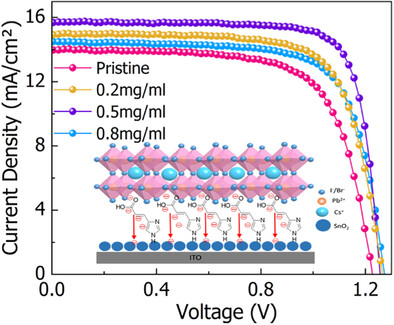 Heterocyclic Conjugated Polydentate Ligands Facilitate Interfacial Charge Transfer of Air-Processed Carbon-Based All Inorganic Perovskite Solar Cells with an Efficiency Over 15%