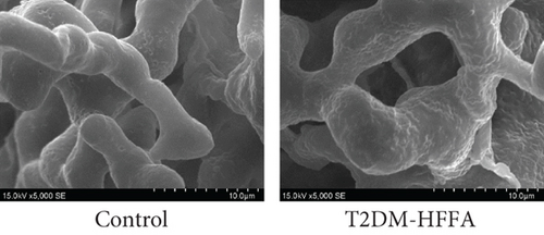 Details are in the caption following the image