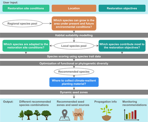 Diversity for Restoration (D4R): Guiding the selection of tree species and seed sources for climate-resilient restoration of tropical forest landscapes Issue 3, 2022