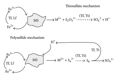 Details are in the caption following the image